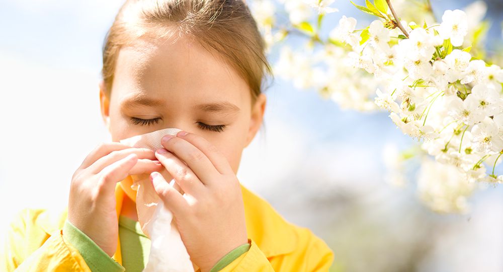 Honey for Allergies